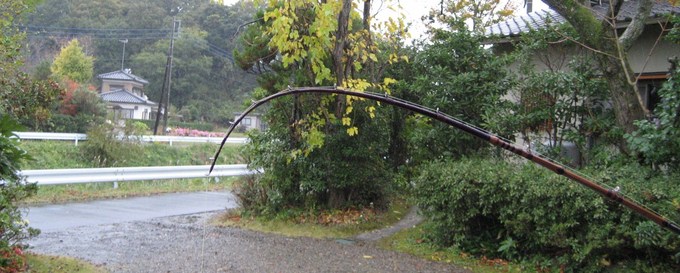 クジラ穂先荷重テスト